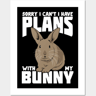 Rabbit Bunny Pet Animal Lover Gift Posters and Art